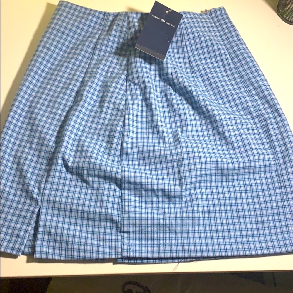 Brandy Melville never worn before Cara skirt
